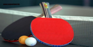 Bola Tenis Meja (Ping Pong)